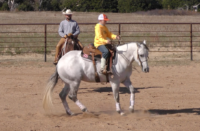 horsemanship clinic